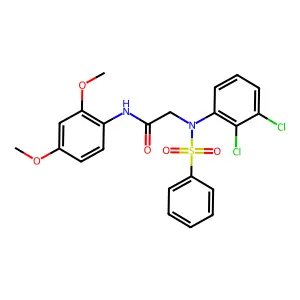 2-[N-(benzenesulfonyl)-2,3-dichloroanilino]-N-(2,4-dimethoxyphenyl)acetamide structure