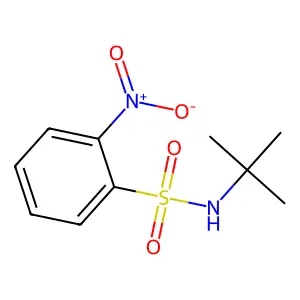 N-tert-butyl-2-nitrobenzenesulfonamide structure