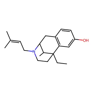 Win 20264 structure