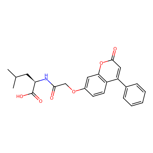 N-{[(2-oxo-4-phenyl-2H-chromen-7-yl)oxy]acetyl}-D-leucine structure