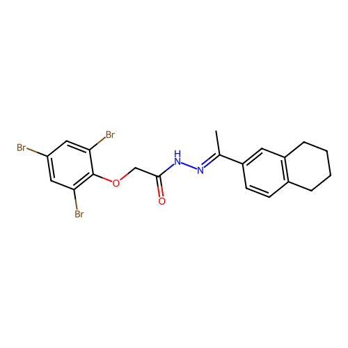 N'-[(1E)-1-(5,6,7,8-tetrahydronaphthalen-2-yl)ethylidene]-2-(2,4,6-tribromophenoxy)acetohydrazide structure