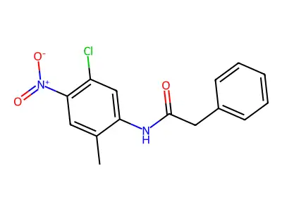 N-(5-chloro-2-methyl-4-nitrophenyl)-2-phenylacetamide structure