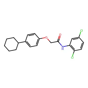 2-(4-cyclohexylphenoxy)-N-(2,5-dichlorophenyl)acetamide structure