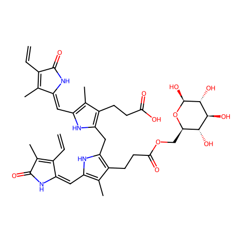 Bilirubin glucoside structure