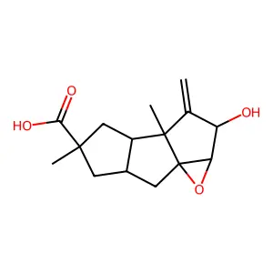 毛韧革菌酸 structure