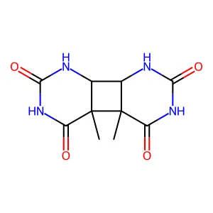 Thymine dimer structure
