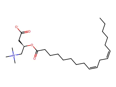 Linoleoyl carnitine structure