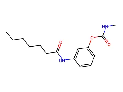[3-(heptanoylamino)phenyl] N-methylcarbamate structure