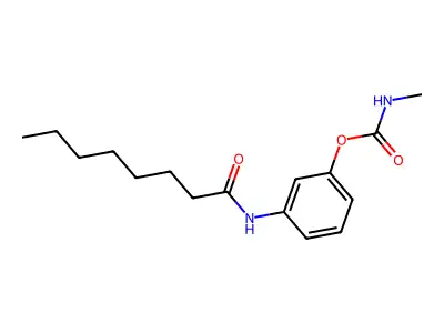 [3-(octanoylamino)phenyl] N-methylcarbamate structure