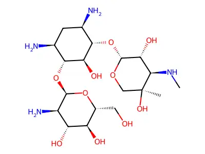 庆大霉素X2 structure
