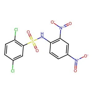 2,5-Dichloro-N-(2,4-dinitrophenyl)benzene-1-sulfonamide structure