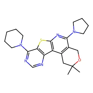 2,2-dimethyl-8-(piperidin-1-yl)-5-(pyrrolidin-1-yl)-2,4-dihydro-1H-pyrano[4'',3'':4',5']pyrido[3',2':4,5]thieno[3,2-d]pyrimidine structure