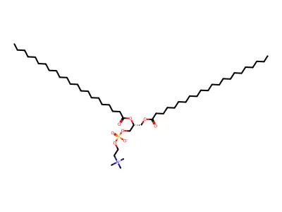 Dibehenoylphosphatidylcholine structure