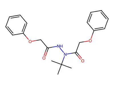 N'-tert-butyl-2-phenoxy-N'-(2-phenoxyacetyl)acetohydrazide structure