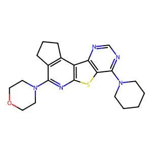 4-(7-(piperidin-1-yl)-2,3-dihydro-1H-cyclopenta[4',5']pyrido[3',2':4,5]thieno[3,2-d]pyrimidin-4-yl)morpholine structure