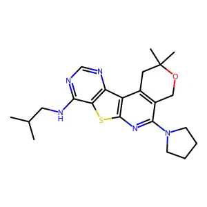 N-isobutyl-2,2-dimethyl-5-(pyrrolidin-1-yl)-2,4-dihydro-1H-pyrano[4'',3'':4',5']pyrido[3',2':4,5]thieno[3,2-d]pyrimidin-8-amine structure