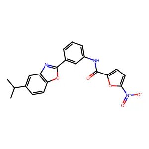 5-nitro-N-{3-[5-(propan-2-yl)-1,3-benzoxazol-2-yl]phenyl}furan-2-carboxamide structure