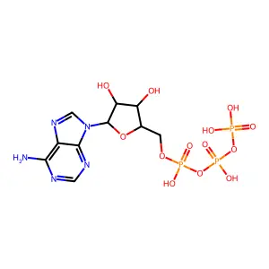 Ara-ATP structure