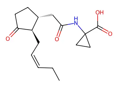 JA-ACC structure