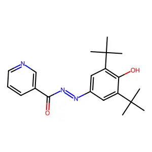 BQNH structure