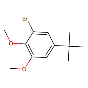 1-Bromo-5-tert-butyl-2,3-dimethoxybenzene structure