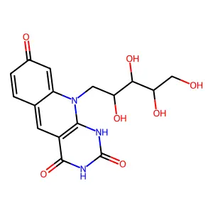 Factor Fo structure