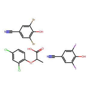 Loxytril 4 structure