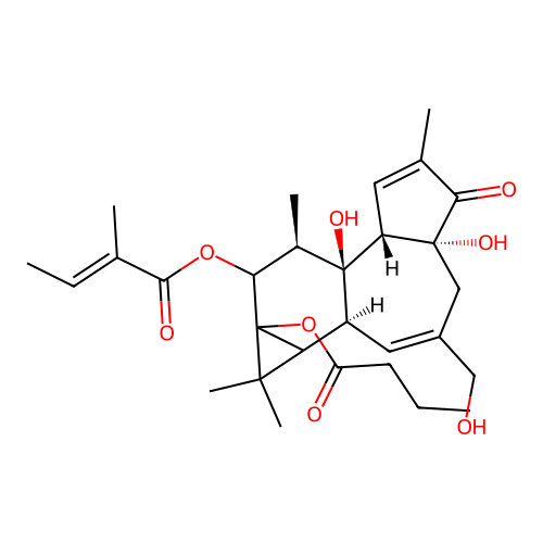 12-O-Tiglyl-phorbol-13-butyrate structure