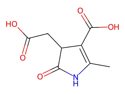 4-(carboxymethyl)-2-methyl-5-oxo-4,5-dihydro-1H-pyrrole-3-carboxylic acid structure
