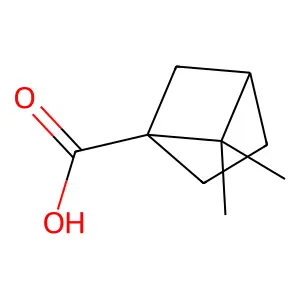 5,5-Dimethylbicyclo[2.1.1]hexane-1-carboxylic acid structure