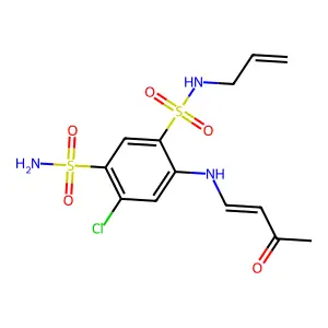 Ambusida structure