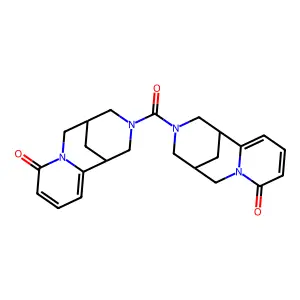 Argentine structure