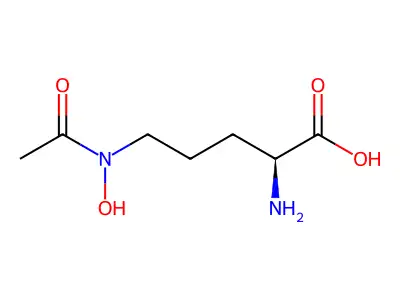 delta-N-acetyl-delta-N-hydroxy-L-ornithine structure