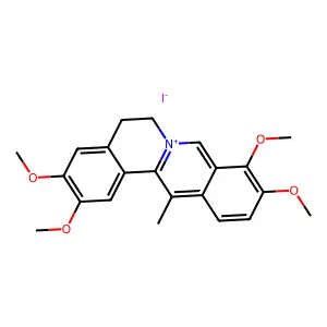 Dibenzo(a,g)quinolizinium, 5,6-dihydro-2,3,9,10-tetramethoxy-13-methyl-, iodide structure