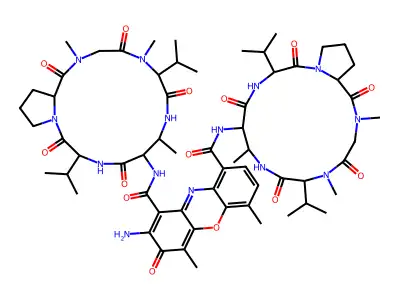 actinomycin D lactam structure