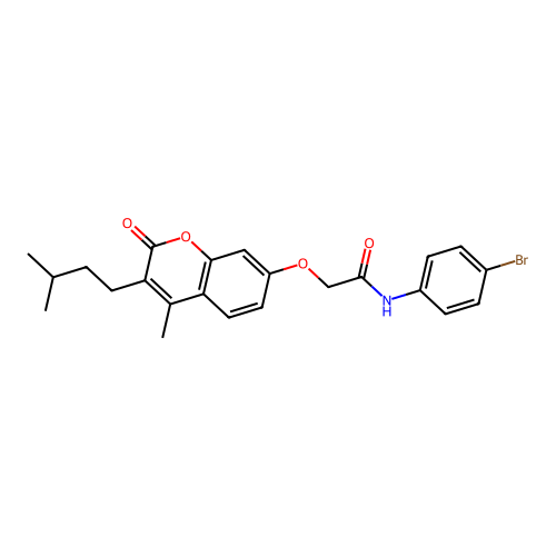 N-(4-bromophenyl)-2-{[4-methyl-3-(3-methylbutyl)-2-oxo-2H-chromen-7-yl]oxy}acetamide structure