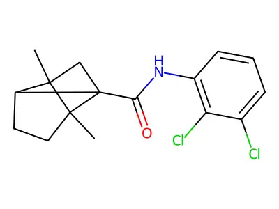 N-(2,3-dichlorophenyl)-2,6-dimethyltricyclo[3.2.0.0^{2,6}]heptane-1-carboxamide structure