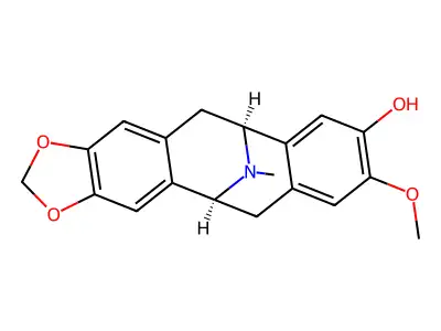 Isocaryachine-N-oxide structure