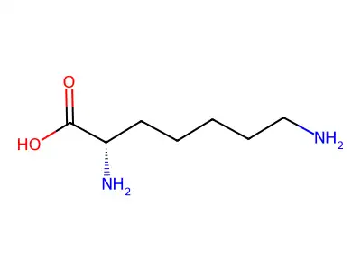 Homolysine structure