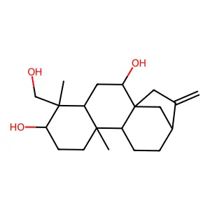 Foliol structure