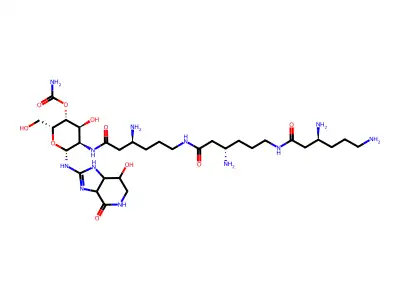 Streptothricin D structure