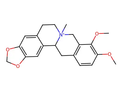 N-methyltetrahydroberberine structure