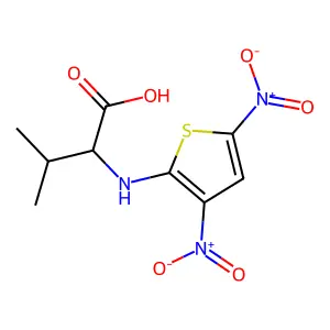 N-(3,5-Dinitrothiophen-2-yl)valine structure