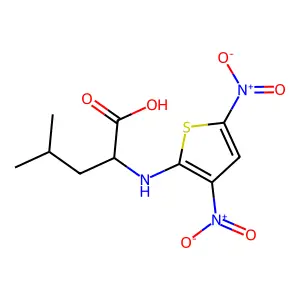 2-[(3,5-Dinitrothiophen-2-yl)amino]-4-methylpentanoic acid structure