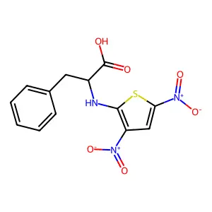 2-[(3,5-Dinitrothiophen-2-yl)amino]-3-phenylpropanoic acid structure