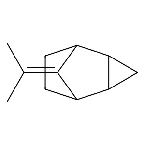 Tricyclo(3.2.1.02,4)octane, 8-(1-methylethylidene)-, endo- structure
