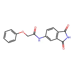 N-(1,3-dioxo-2,3-dihydro-1H-isoindol-5-yl)-2-phenoxyacetamide structure