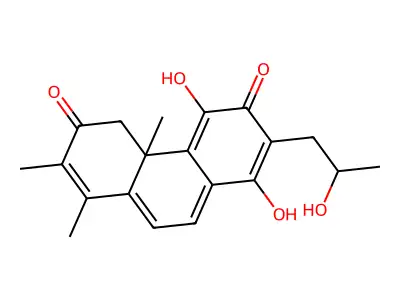 Coleon E structure