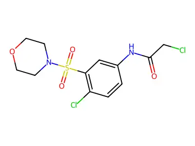 2-chloro-N-[4-chloro-3-(morpholine-4-sulfonyl)phenyl]acetamide structure