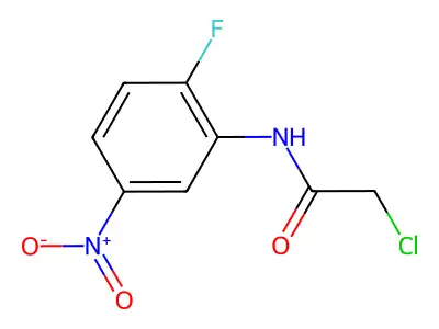 2-chloro-N-(2-fluoro-5-nitrophenyl)acetamide structure